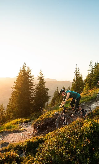 Drei Mountainbiker fahren bei Sonnenuntergang auf einem Trail durch eine alpine Waldlandschaft