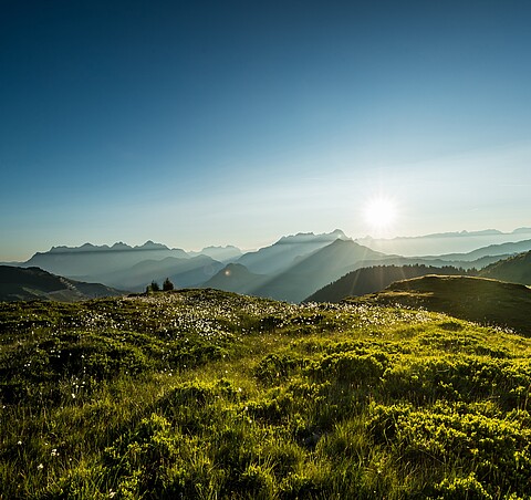 Packages zu Ihrem Sommerglück